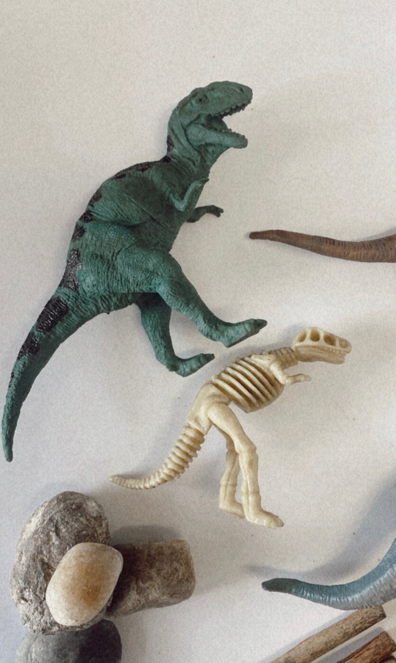 DINO WORLD SENSORY BOX