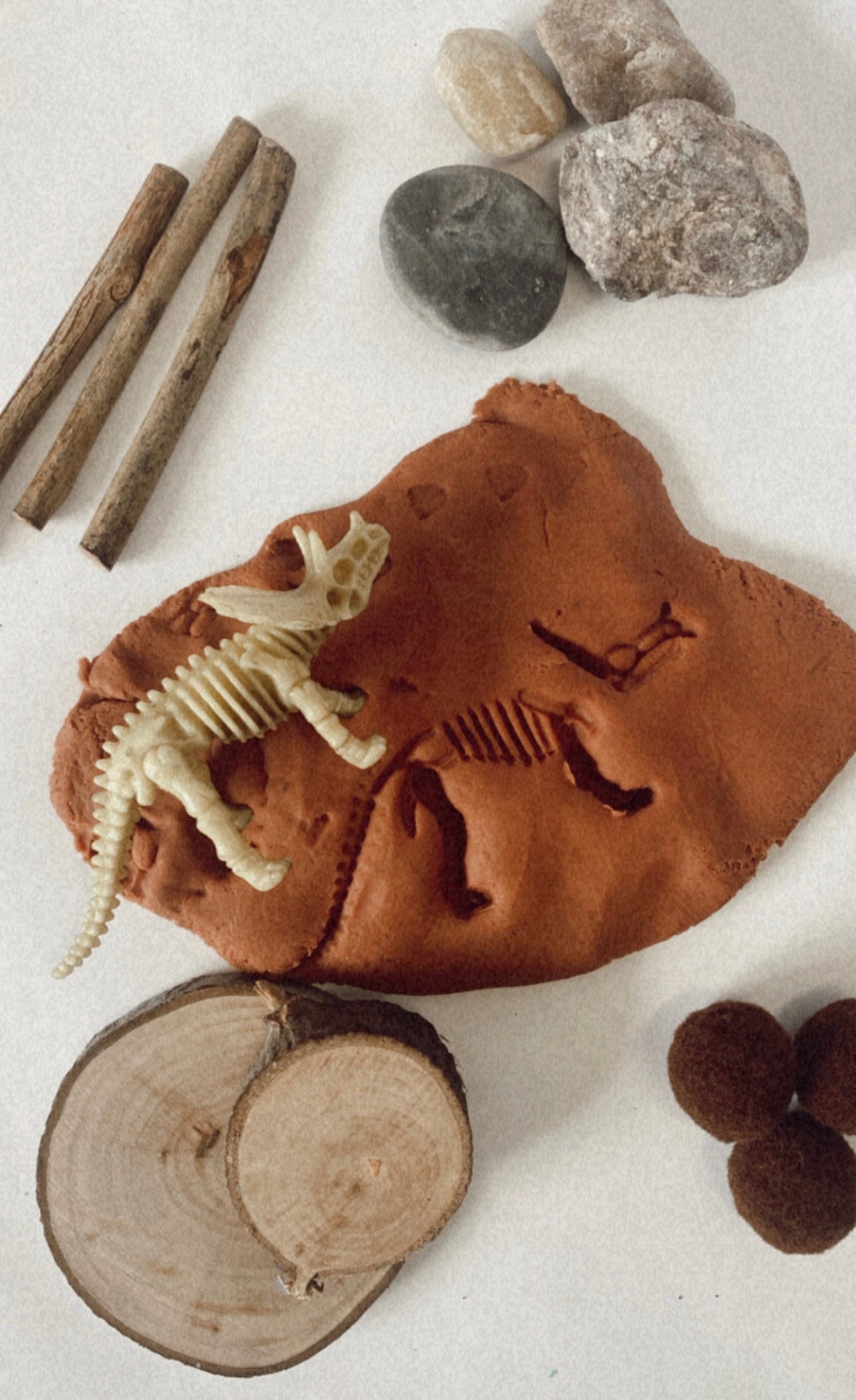 DINO WORLD SENSORY BOX